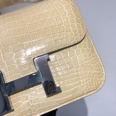 wholesale quality hermes constance 19 shinny niloticus crocodile 12 nata phd